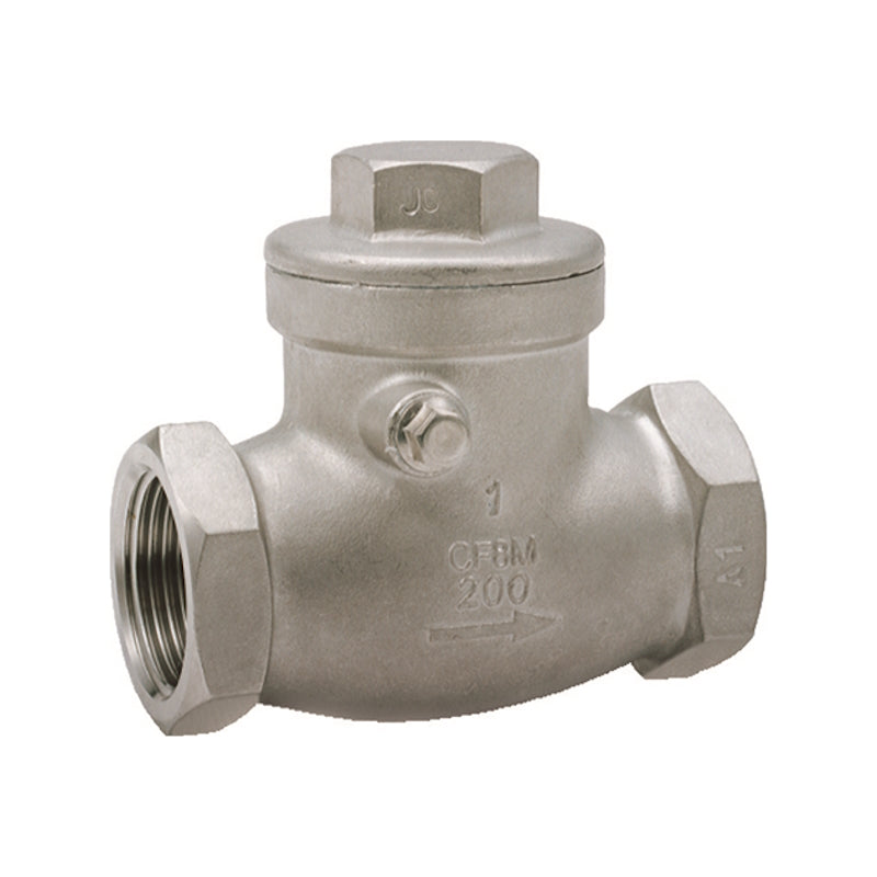 SS316  Swing Check Valve 200 NPT