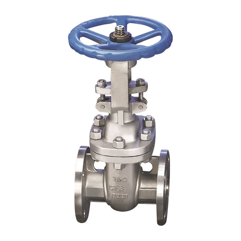 CF8M Flanged Gate Valve 150 Trim 10