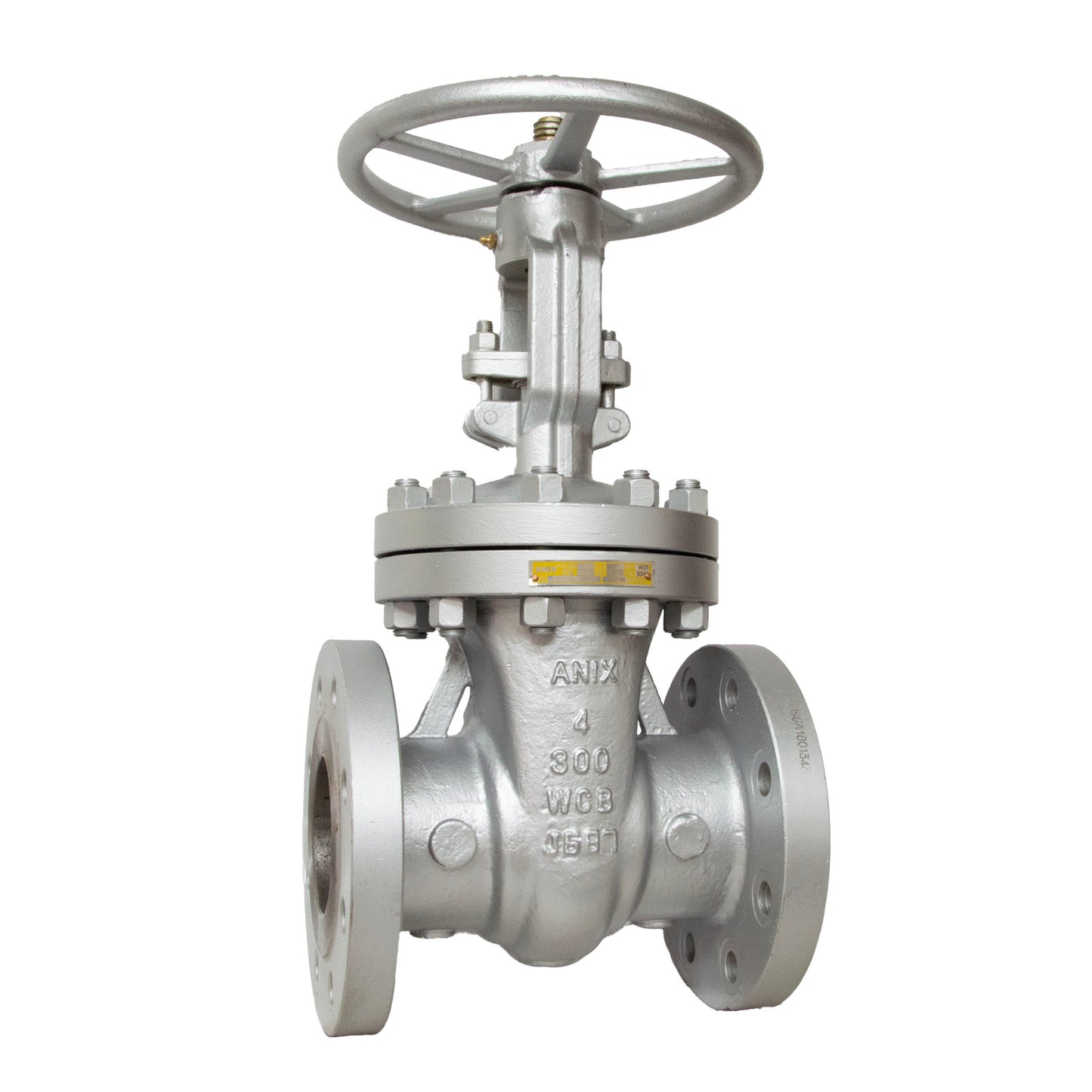 CS Flanged Gate Valve 300 Trim 8