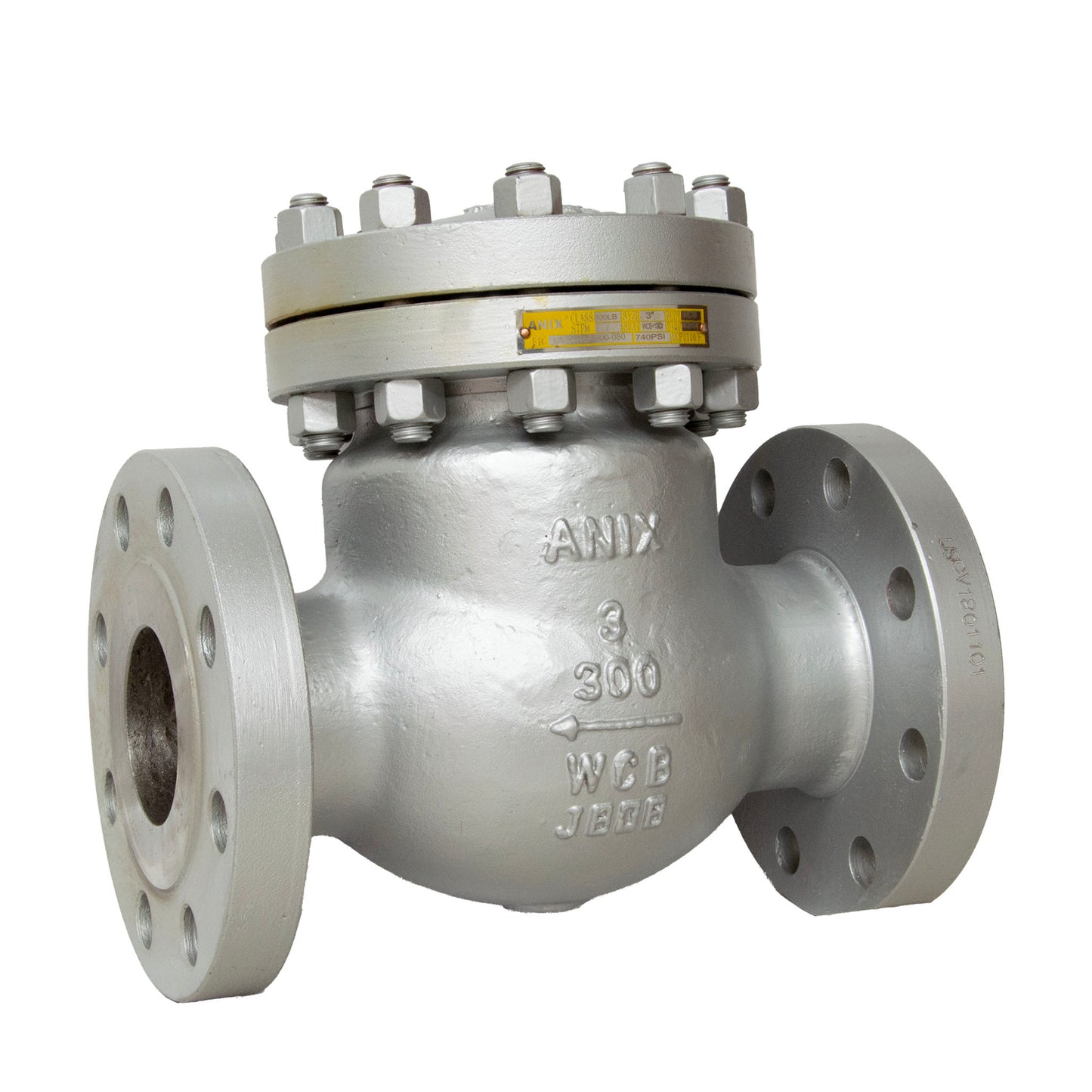 CS Flanged Swing Check Valve 300 Trim 8