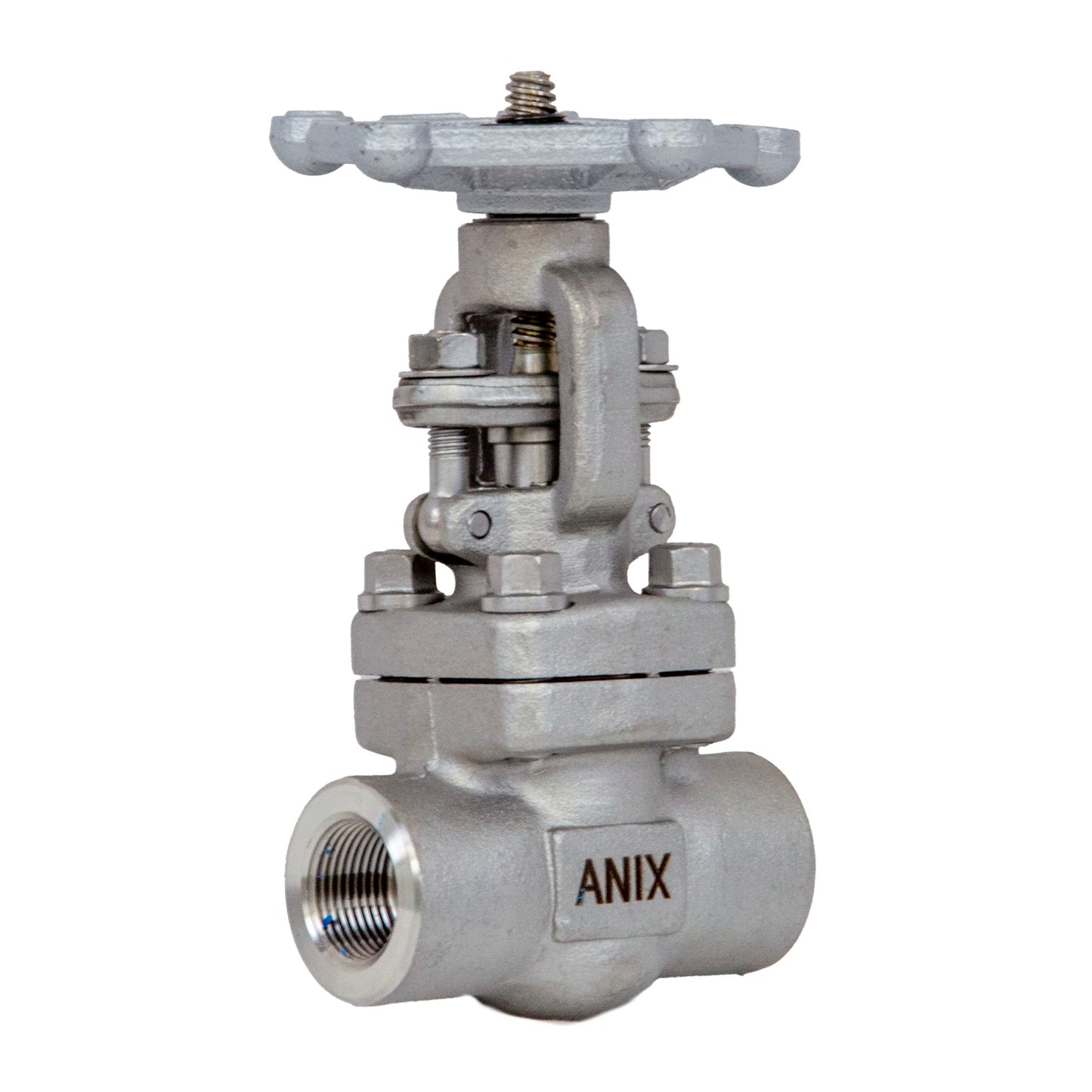 Forged SS316 Stainless Steel Gate Valve – Class 800, Rising Stem OS&Y, Bolted Bonnet, NPT Threaded